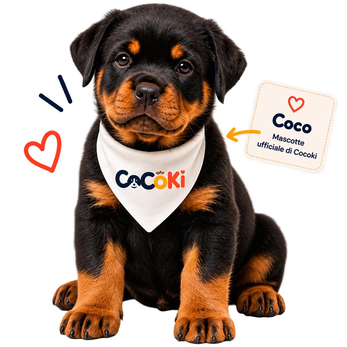 Coco, mascotte COCOKI
